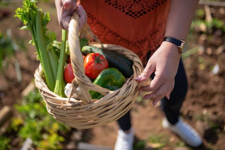 Organic Food Benefits